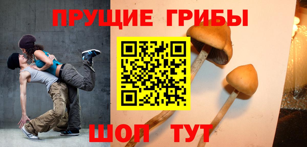 дарнет шоп  Галлюциногенные грибы прущие грибы  Ртищево  Вход с VPN  Галлюциногенные грибы Psilocybine cubensis 